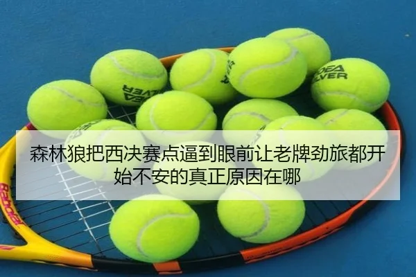 img_1779856867003_6_2_938.jpg